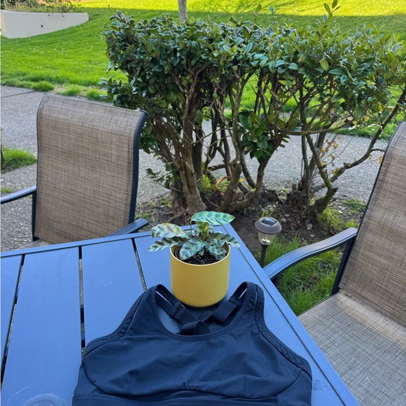 Fabletics Sports Bra - Picture 1 of 3